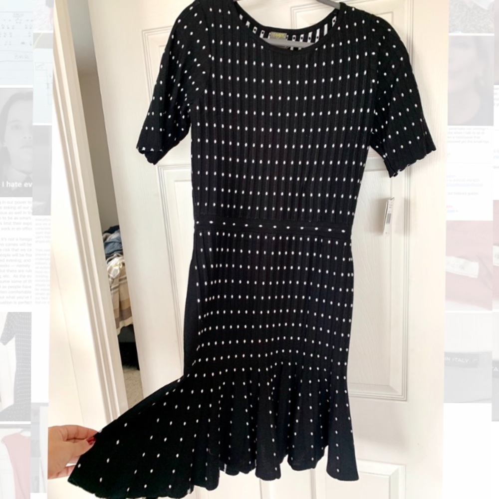 NWT Taylor Timeless Fit & Flare Dress!
